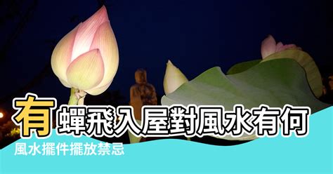 蟬飛入屋 風水|【蟬的風水】有蟬飛入屋對風水有何影響 